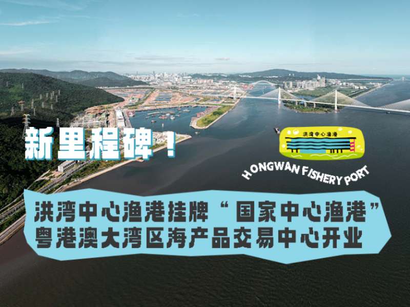 新里程碑！洪灣中心漁港掛牌“國(guó)家中心漁港”， 粵港澳大灣區(qū)海產(chǎn)品交易中心開業(yè)